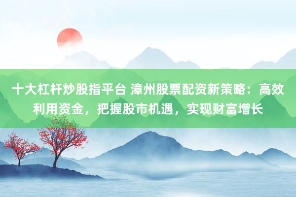 十大杠杆炒股指平台 漳州股票配资新策略：高效利用资金，把握股市机遇，实现财富增长
