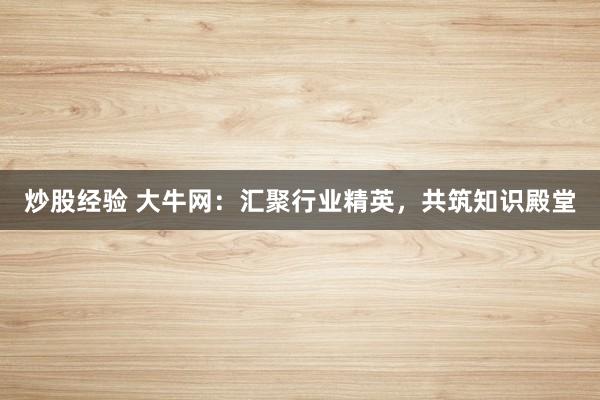炒股经验 大牛网：汇聚行业精英，共筑知识殿堂