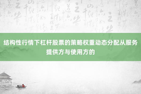 结构性行情下杠杆股票的策略权重动态分配从服务提供方与使用方的