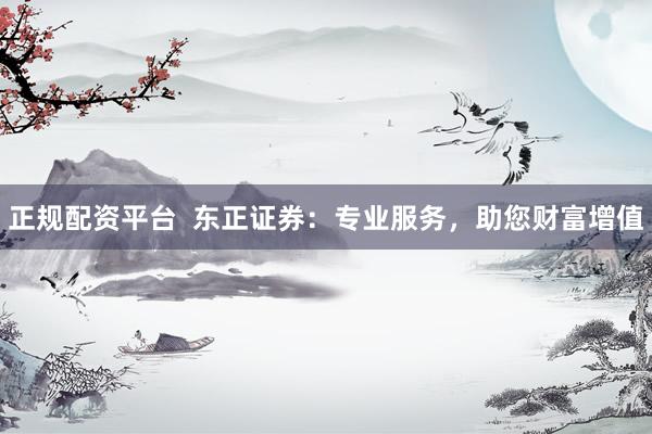 正规配资平台  东正证券：专业服务，助您财富增值